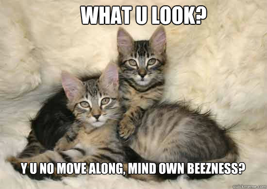 what u look? y u no move along, mind own beezness?  