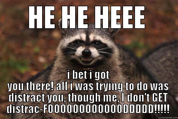 HE HE HEEE I BET I GOT YOU THERE! ALL I WAS TRYING TO DO WAS DISTRACT YOU, THOUGH ME, I DON'T GET DISTRAC-FOOOOOOOOOOOODDDDD!!!!! Evil Plotting Raccoon