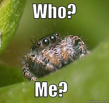           WHO?                      ME?            Misunderstood Spider