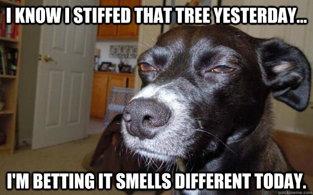 I know i stiffed that tree yesterday... I'm betting it smells different today.  Skeptical Mutt