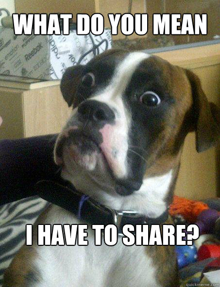 What do you mean i have to share?  Baffled boxer