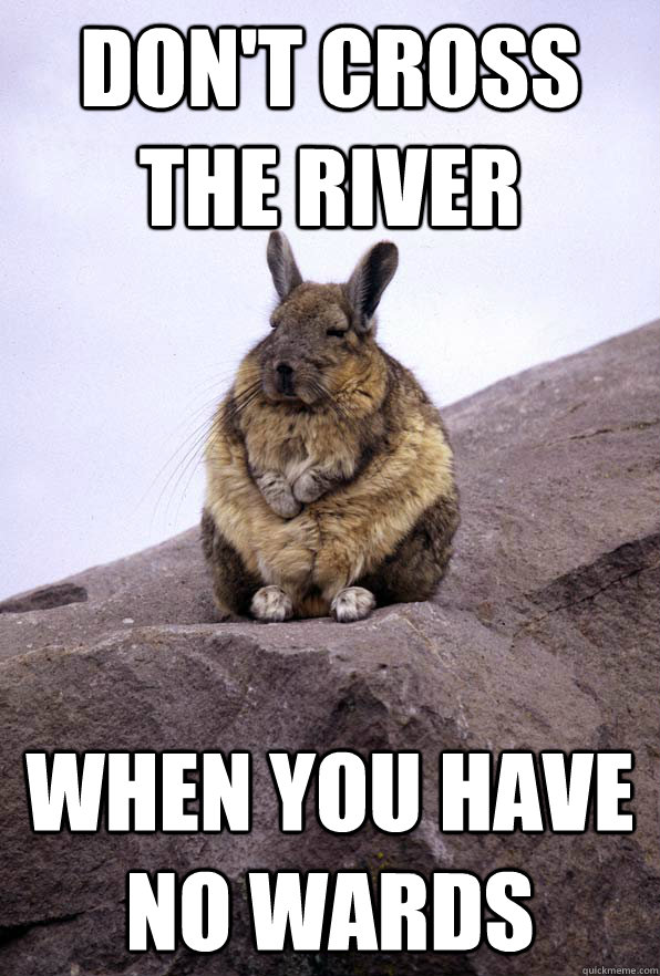 Don't cross the river When you have no wards  Wise Wondering Viscacha