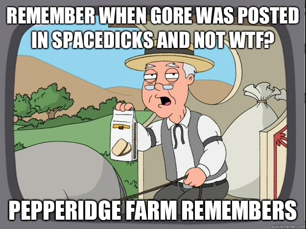 Remember when gore was posted in spacedicks and not wtf? Pepperidge farm remembers  Pepperidge Farm Remembers