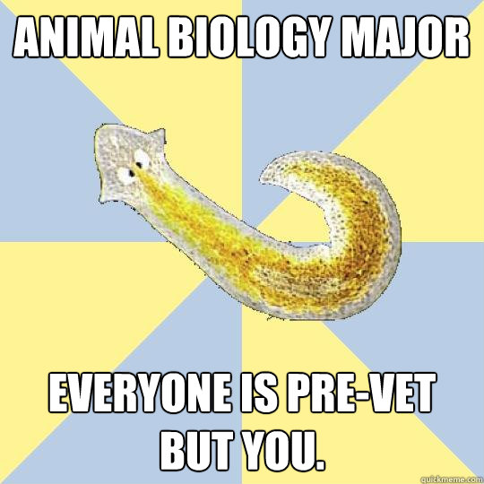 Animal Biology Major Everyone is pre-vet but you.  Bio Major Planarian