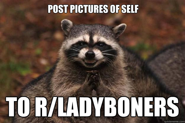 Post pictures of self to r/ladyboners  Evil Plotting Raccoon