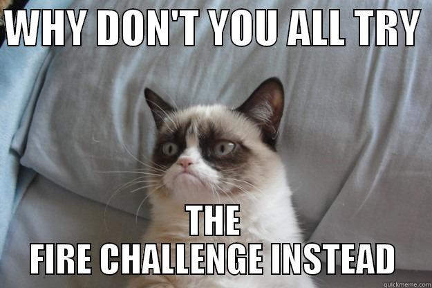 WHY DON'T YOU ALL TRY  THE FIRE CHALLENGE INSTEAD Grumpy Cat