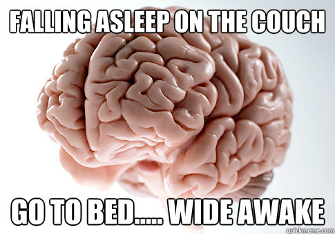 Falling asleep on the couch Go to bed..... wide awake  Scumbag Brain