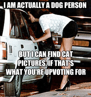 I am actually a dog person but i can find cat pictures, if that's 
what you're upvoting for  Karma Whore