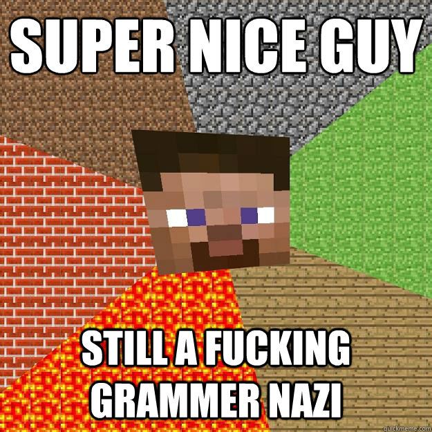 Super nice guy Still a fucking grammer nazi  Minecraft