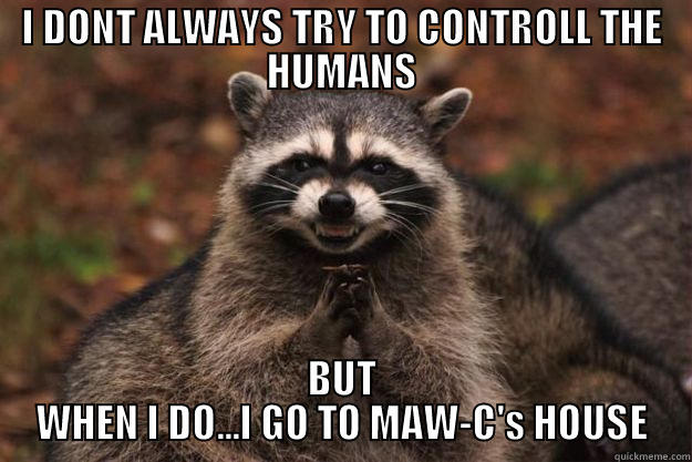 I DONT ALWAYS TRY TO CONTROLL THE HUMANS BUT WHEN I DO...I GO TO MAW-C'S HOUSE Evil Plotting Raccoon