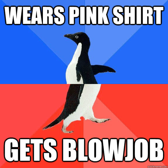 wears pink shirt gets blowjob  Socially Awkward Awesome Penguin