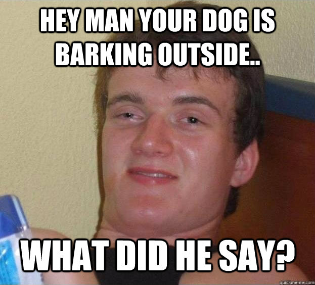 Hey man your dog is barking outside.. What did he say?  - Hey man your dog is barking outside.. What did he say?   The High Guy