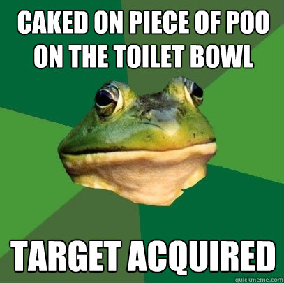 caked on piece of poo on the toilet bowl Target acquired  Foul Bachelor Frog