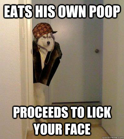 eats his own poop proceeds to lick your face  Scumbag dog