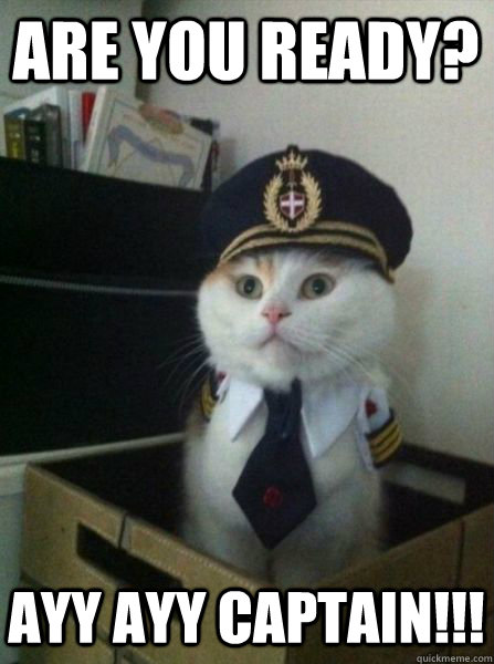 are you ready? ayy ayy captain!!! - are you ready? ayy ayy captain!!!  Captain kitteh