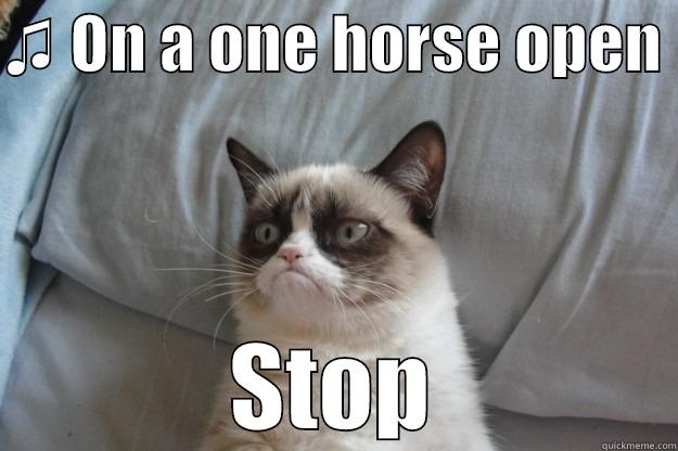 ♫ ON A ONE HORSE OPEN  STOP Grumpy Cat