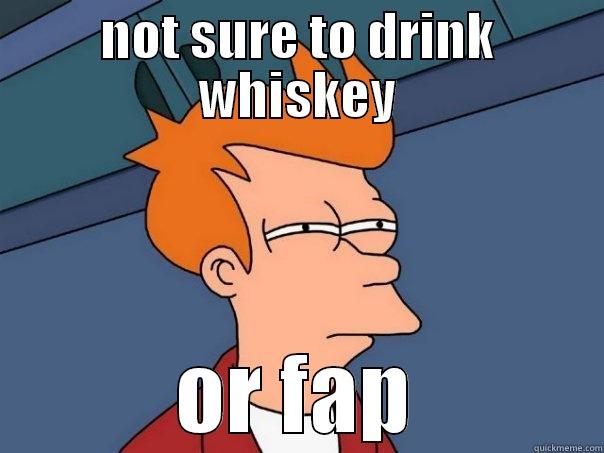 NOT SURE TO DRINK WHISKEY OR FAP Futurama Fry