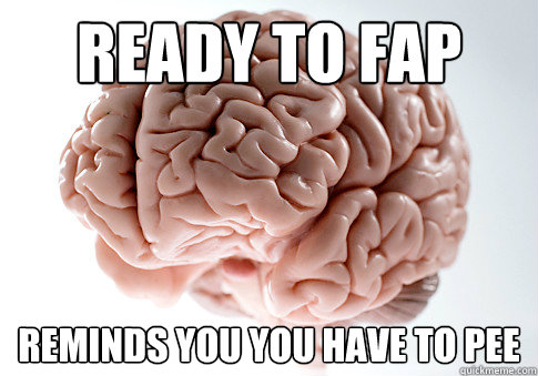 Ready to FAP reminds you you have to pee   Scumbag Brain