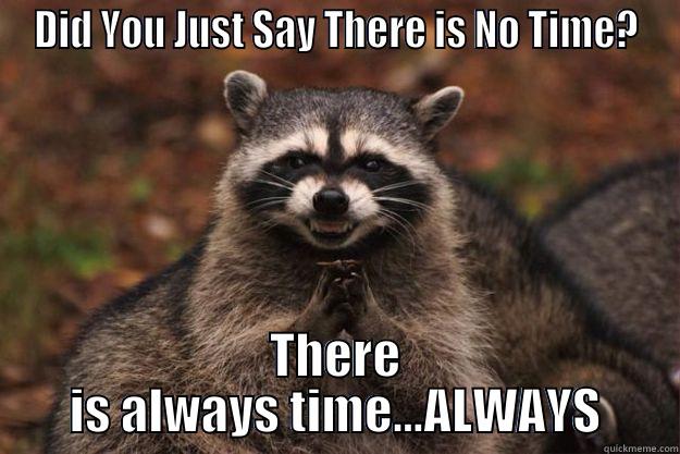 Angry Racoon loves Tacos - DID YOU JUST SAY THERE IS NO TIME? THERE IS ALWAYS TIME...ALWAYS Evil Plotting Raccoon