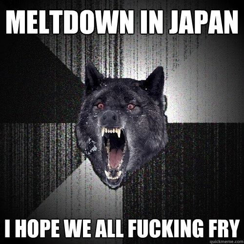 meltdown in japan i hope we all fucking fry  Insanity Wolf