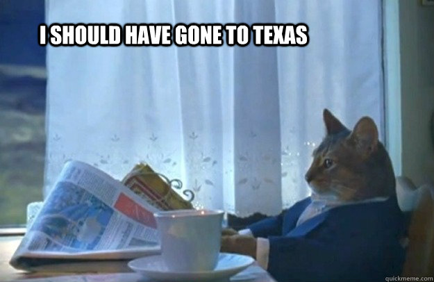 I should have gone to Texas  Sophisticated Cat