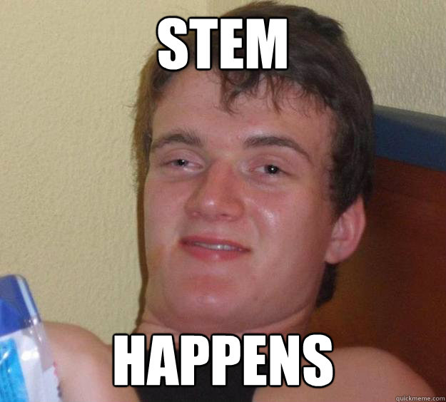 Stem Happens  10 Guy