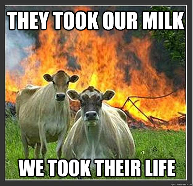 They took our milk we took their life  Evil cows