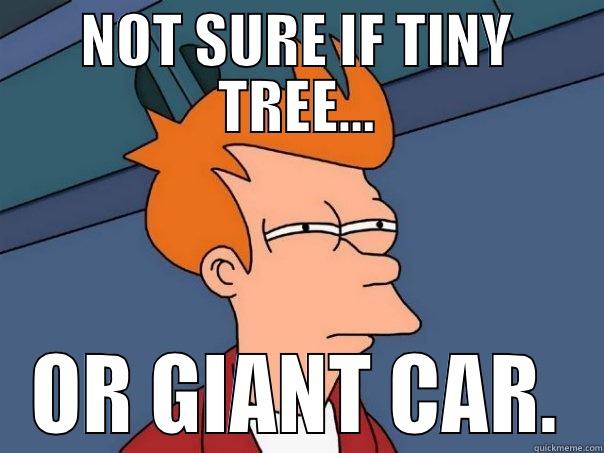 tiny tree - NOT SURE IF TINY TREE... OR GIANT CAR. Futurama Fry