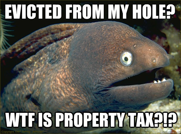 Evicted from my hole? WTF is Property Tax?!? - Evicted from my hole? WTF is Property Tax?!?  Caught in the act Moray