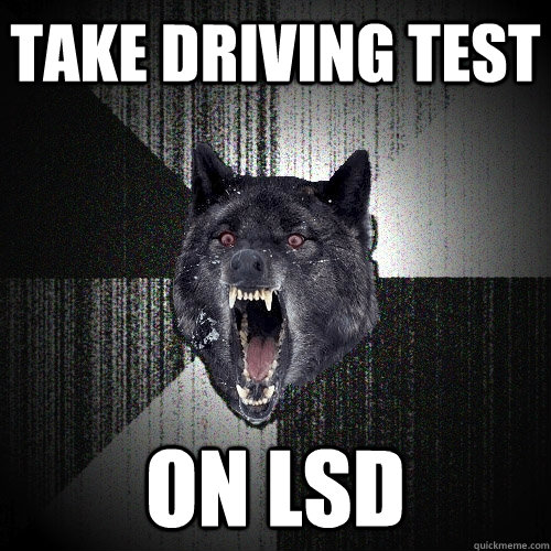 take driving test on lsd  Insanity Wolf