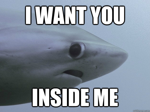 I want you Inside me  Shy Shark