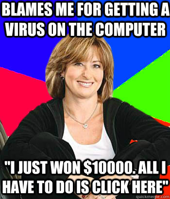 blames me for getting a virus on the computer 