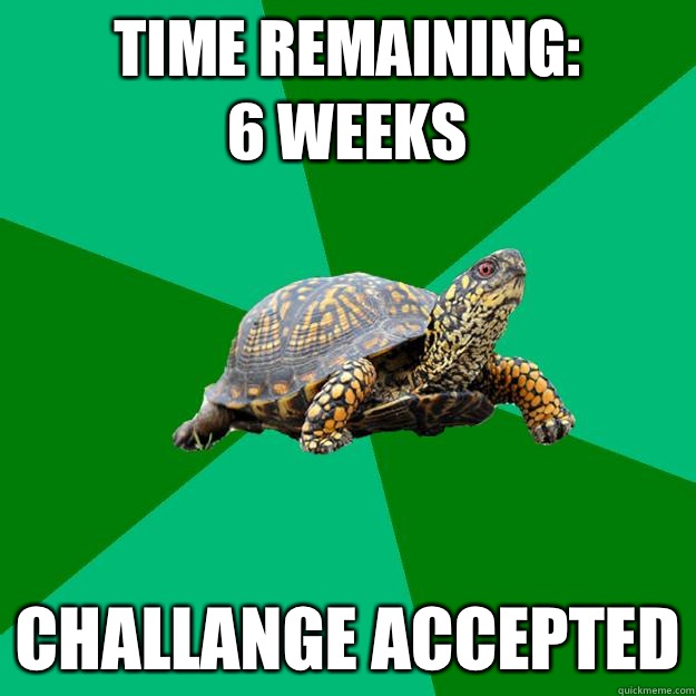 TIME REMAINING:
6 Weeks CHALLANGE ACCEPTED - TIME REMAINING:
6 Weeks CHALLANGE ACCEPTED  Torrenting Turtle