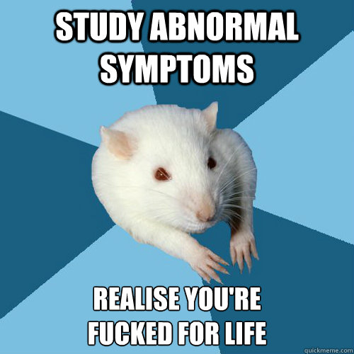 Study abnormal symptoms Realise you're 
fucked for life
  Psychology Major Rat