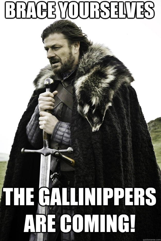 Brace yourselves The Gallinippers are coming!  Winter is coming