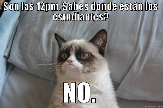 SON LAS 12PM. SABES DONDE ESTÁN LOS ESTUDIANTES? NO. Grumpy Cat