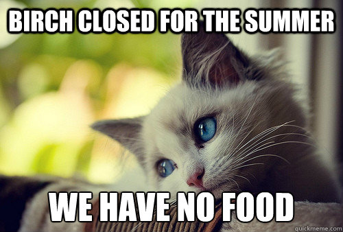 Birch Closed for the summer We have no food  First World Problems Cat