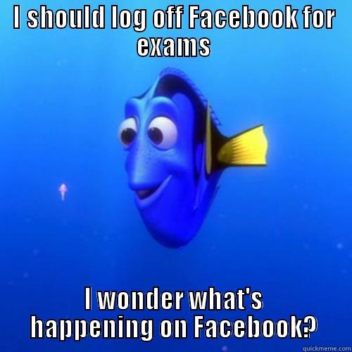 I should log off Facebook for exams - I SHOULD LOG OFF FACEBOOK FOR EXAMS I WONDER WHAT'S HAPPENING ON FACEBOOK? dory