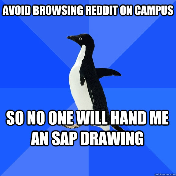 avoid browsing reddit on campus so No one will hand me an SAP drawing   Socially Awkward Penguin