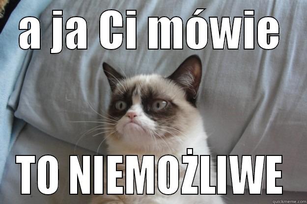 kot konserwa - A JA CI MÓWIE TO NIEMOŻLIWE Grumpy Cat