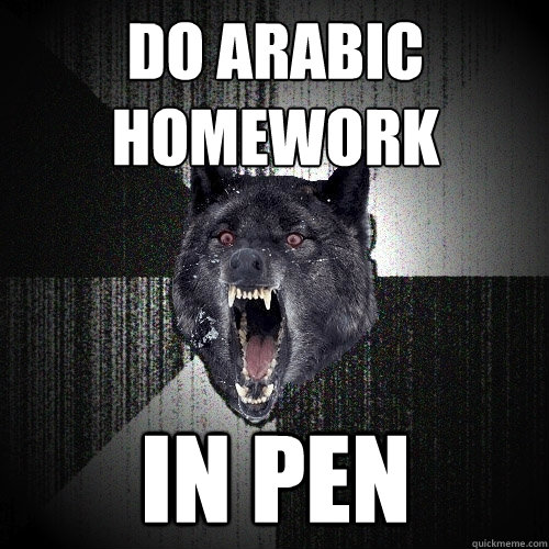 do arabic homework in pen  Insanity Wolf