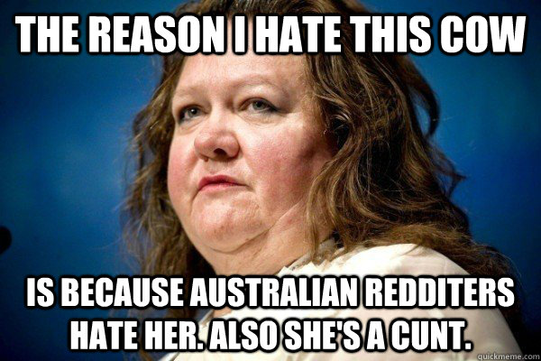 The reason i hate this cow is because Australian redditers hate her. also she's a cunt.  Spiteful Billionaire