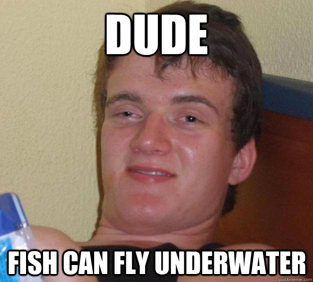 Dude Fish can fly underwater  10 Guy