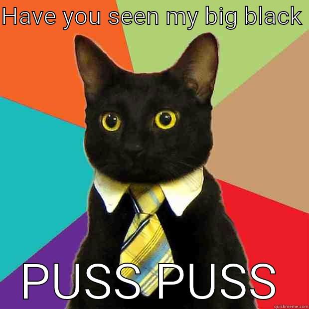 HAVE YOU SEEN MY BIG BLACK  PUSS PUSS Business Cat