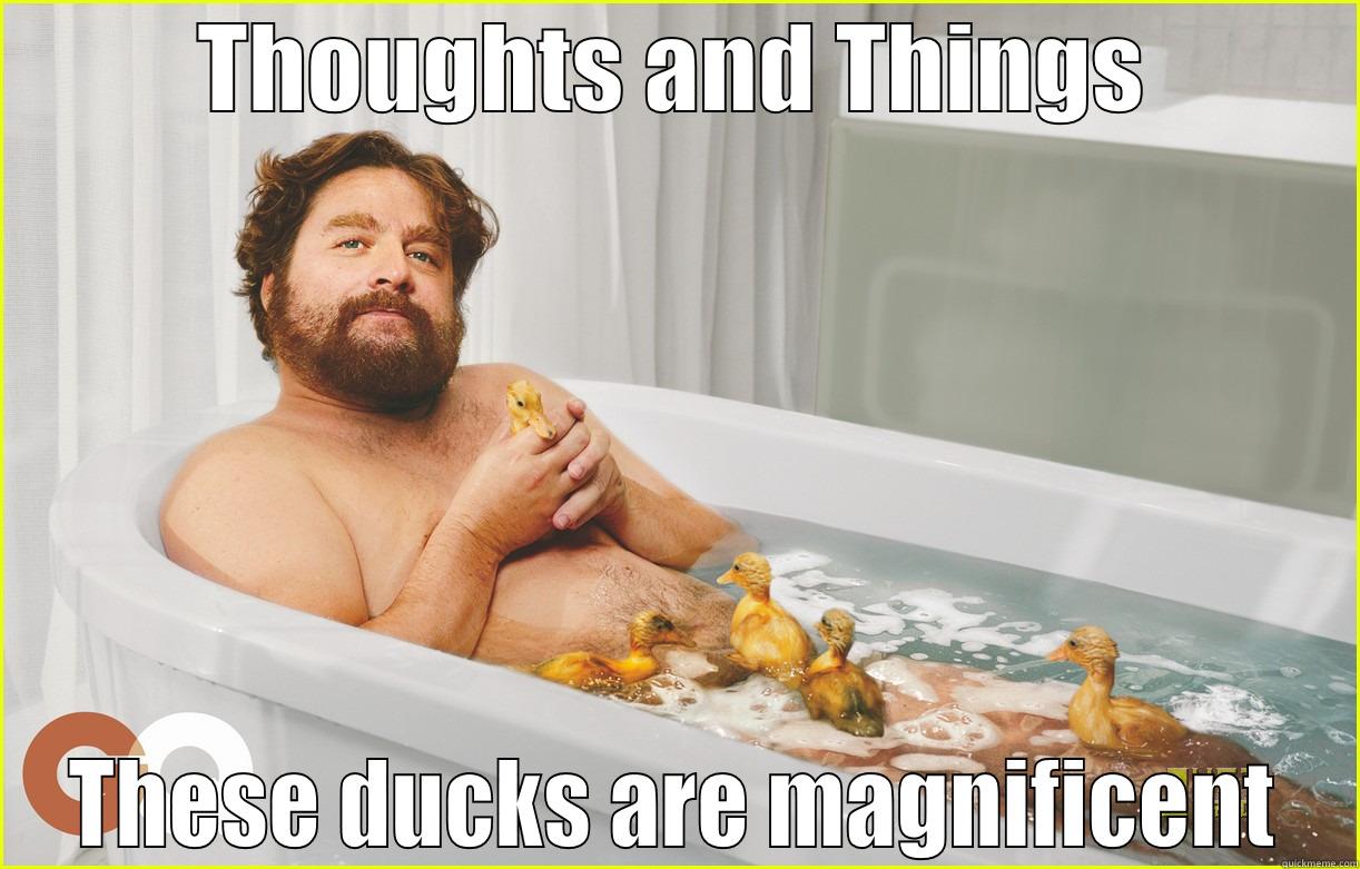 THOUGHTS AND THINGS THESE DUCKS ARE MAGNIFICENT Misc