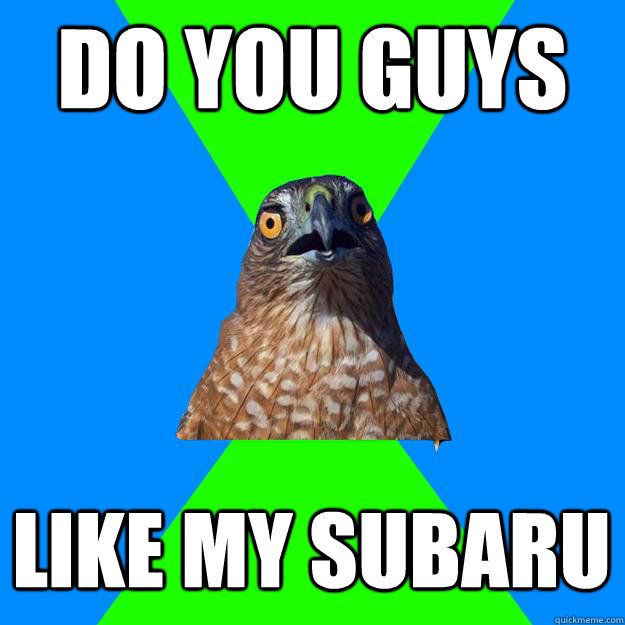 Do You Guys  Like My Subaru  Hawkward