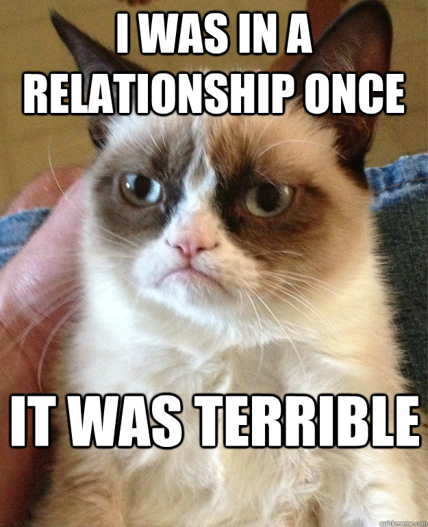 I was in a relationship once It was terrible  Grumpy Cat