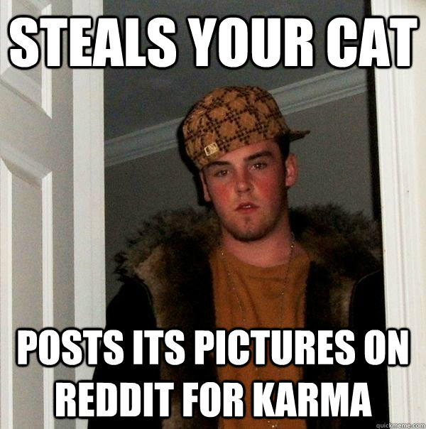 steals your cat posts its pictures on reddit for karma - steals your cat posts its pictures on reddit for karma  Scumbag Steve