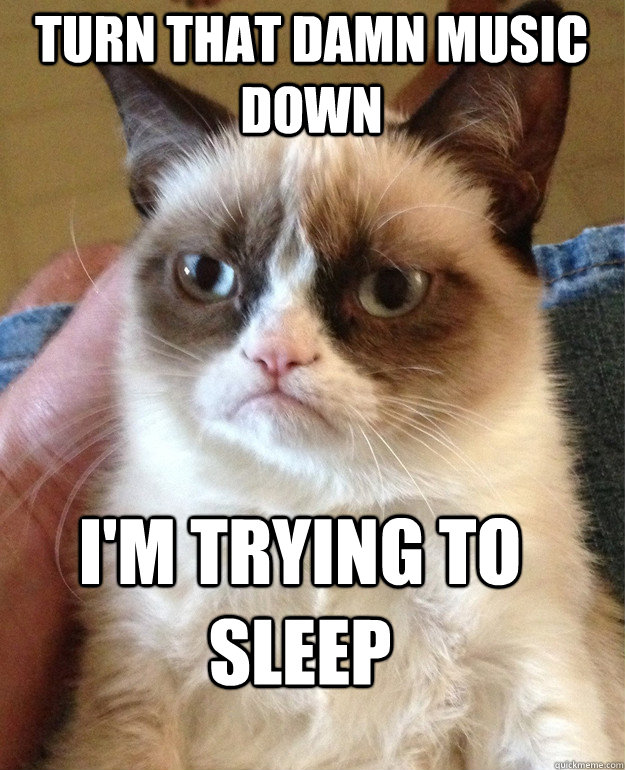 turn that damn music down i'm trying to sleep  Grumpy Cat