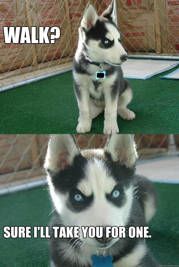 Walk? Sure I'll take you for one.   Insanity puppy